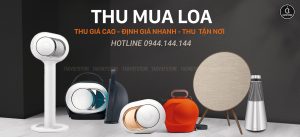 Thu Mua Loa Cũ Giá Cao Tại TPHCM
