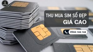 Thu Mua Sim Số Đẹp Giá Cao Tại TPHCM