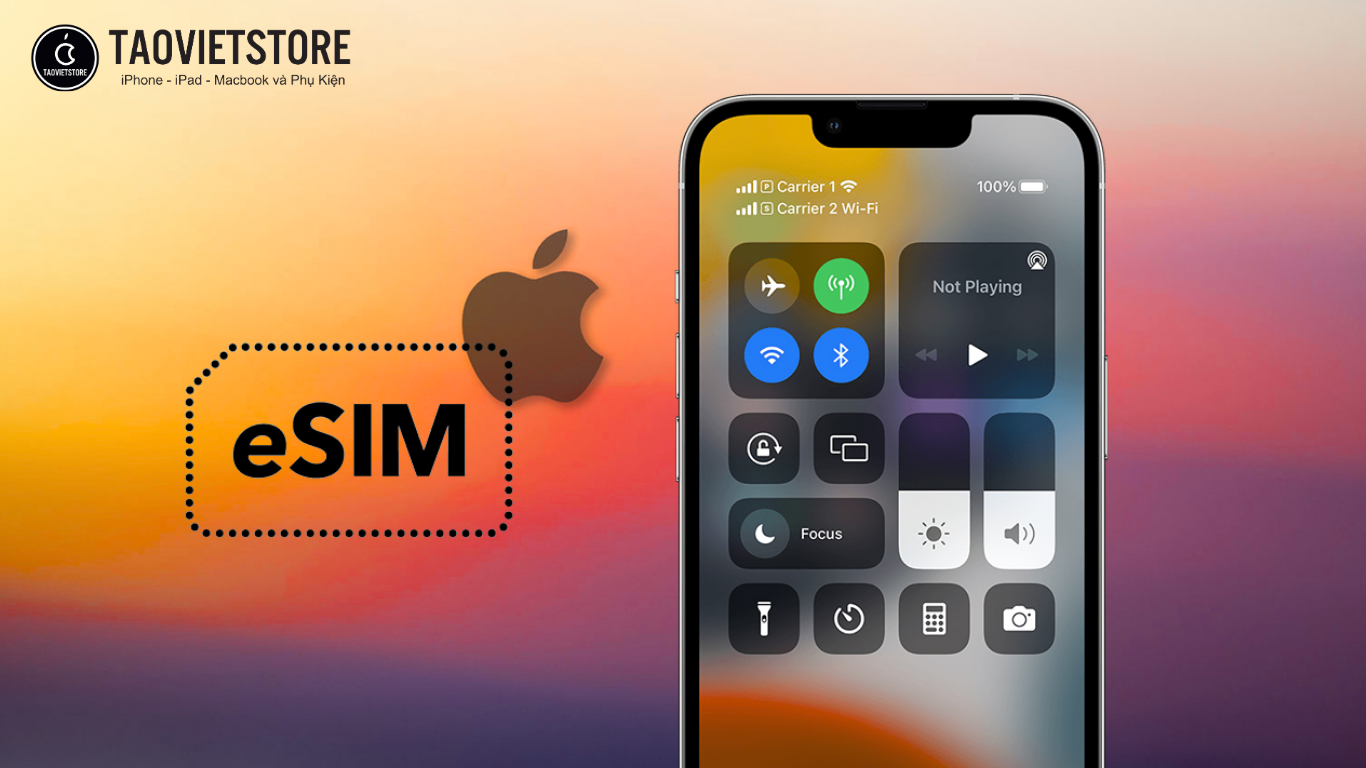 Cách thiết lập eSIM trên iPhone nhanh chóng và an toàn nhất 5 Cách thiết lập eSIM trên iPhone nhanh chóng và an toàn nhất