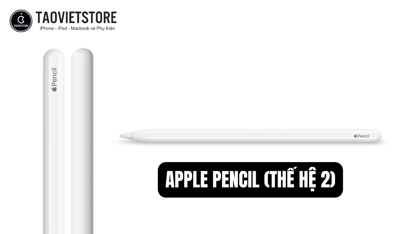 Trọn bộ bí kíp mua Apple Pencil ở năm 2026. Tránh lãng phí, chọn chuẩn nhu cầu